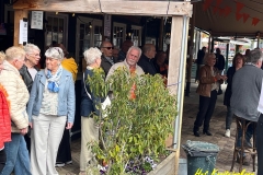 Koningsdag-021